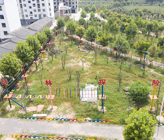 樹上拓展器材 叢林穿越器材